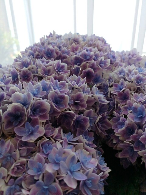 20240518_112033.jpg